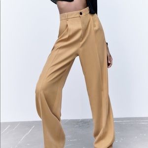 Zara Pleated Pants in Sold Out Caramel